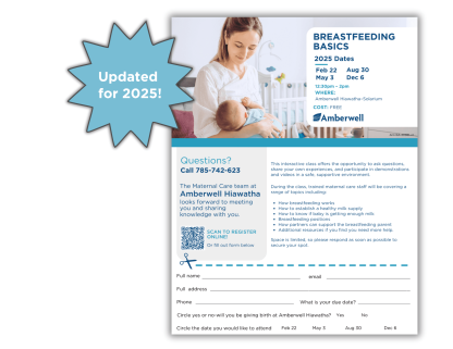 Hiawatha Breastfeeding Basics Cut Away Flyer